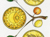 Limoni ed arance di Sorrento nelle Carte da gioco delle Sirene