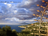 gaudiello-072