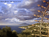 gaudiello-073